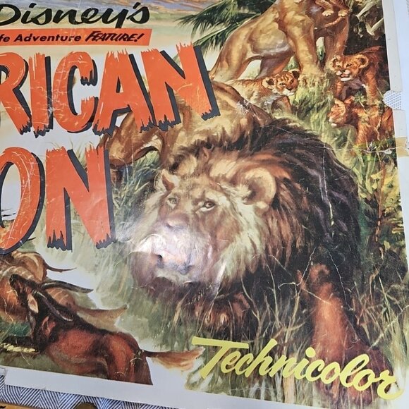 1955 The African Lion Original Walt Disney 28x22 Litho Movie Poster Very Rare US - Picture 9 of 12